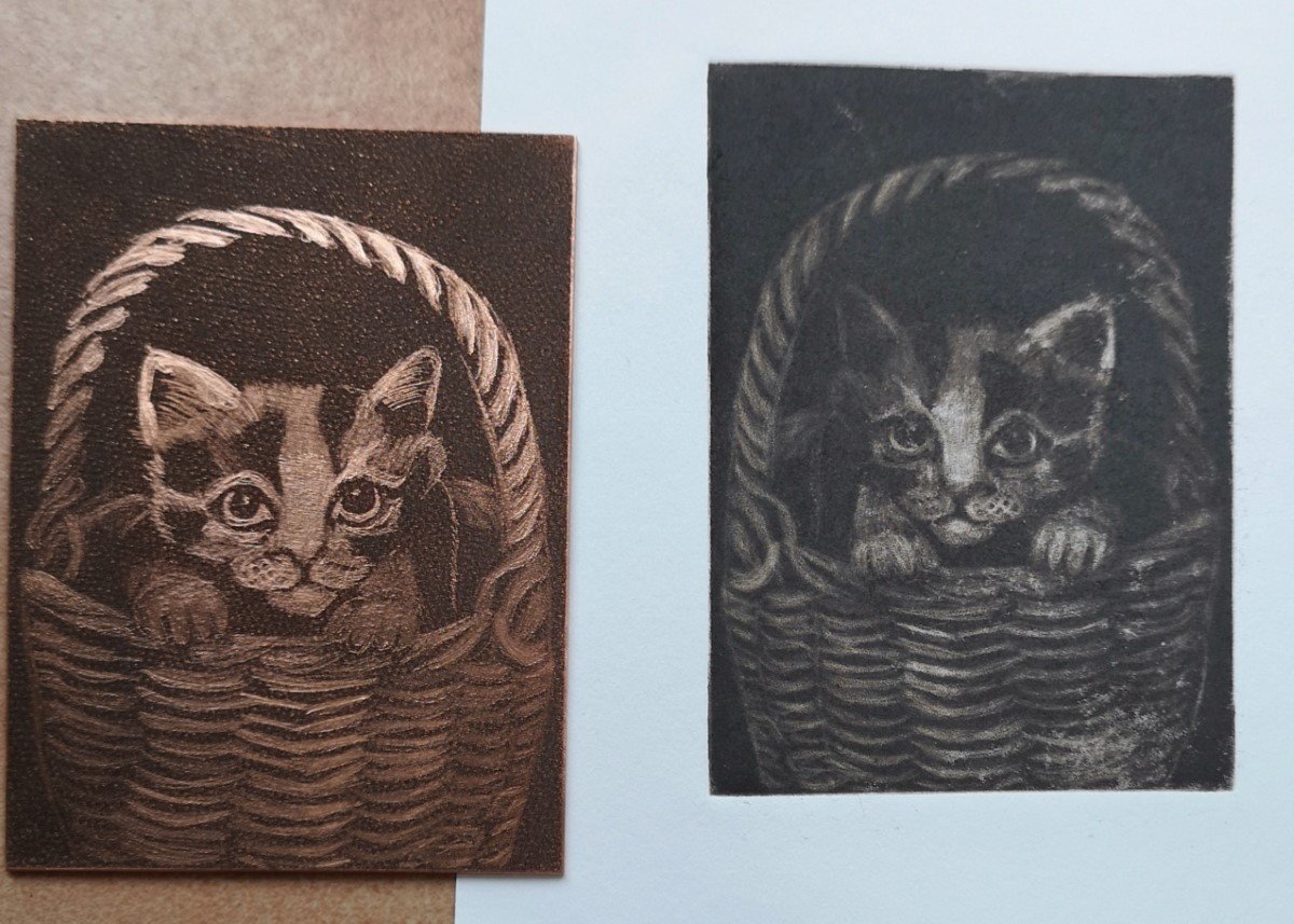 in progress kitten basket print 2